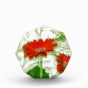 Red Floral Award