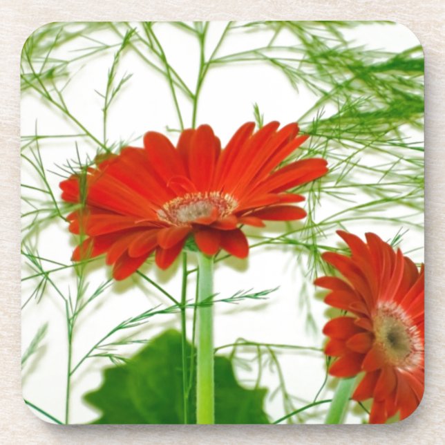 Red Floral Drink Coaster (Front)