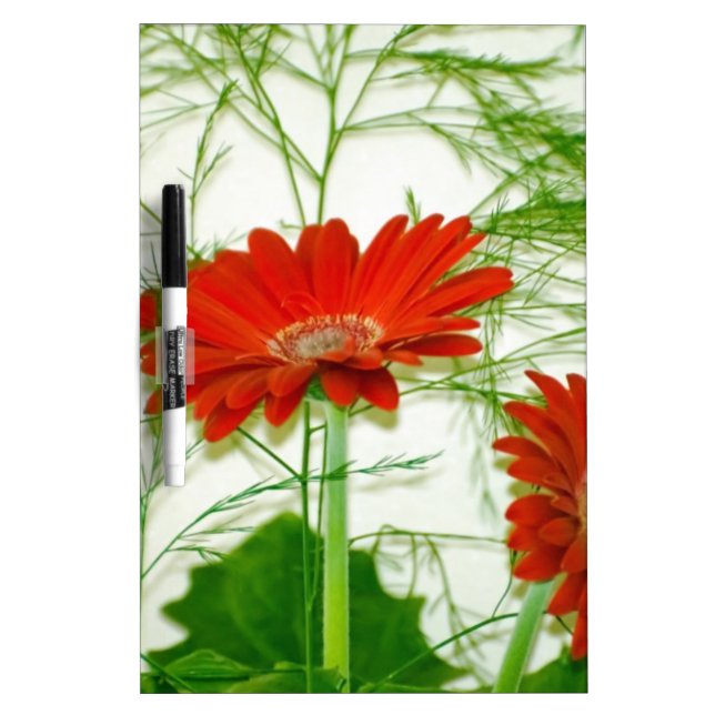 Red Floral Dry-Erase Board (Front)