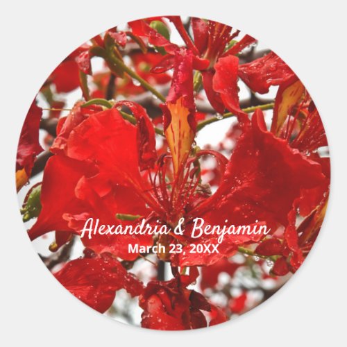 Red Floral Flamboyant Personalize Nature Classic Round Sticker