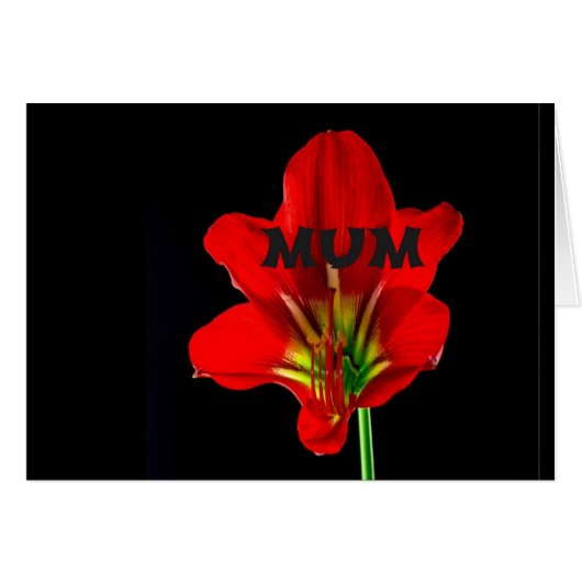 Red Floral Mum (Front Horizontal)