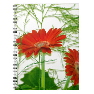 Red Floral Notebook
