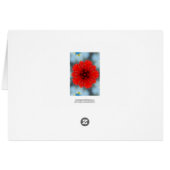 Red Flower (Back Horizontal)