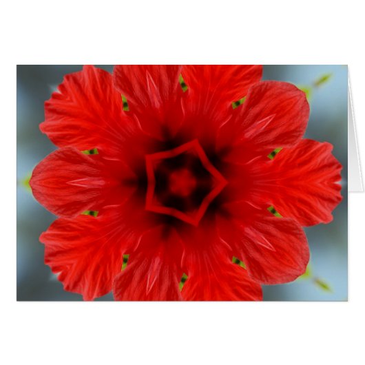 Red Flower (Front Horizontal)