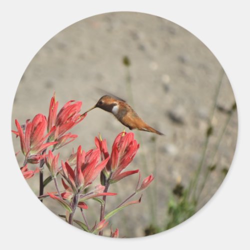 Red flower bird classic round sticker