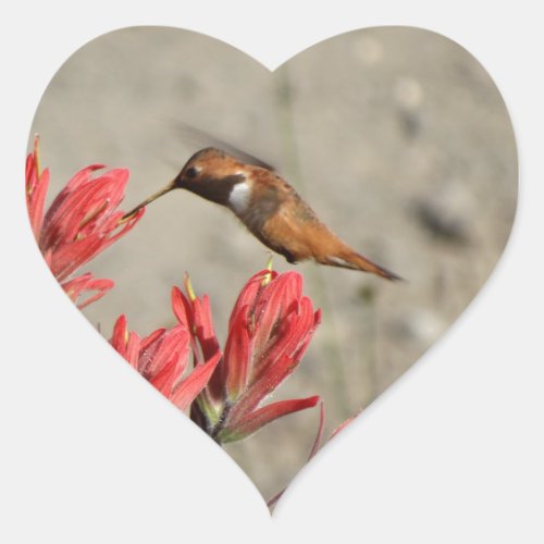 Red flower bird heart sticker