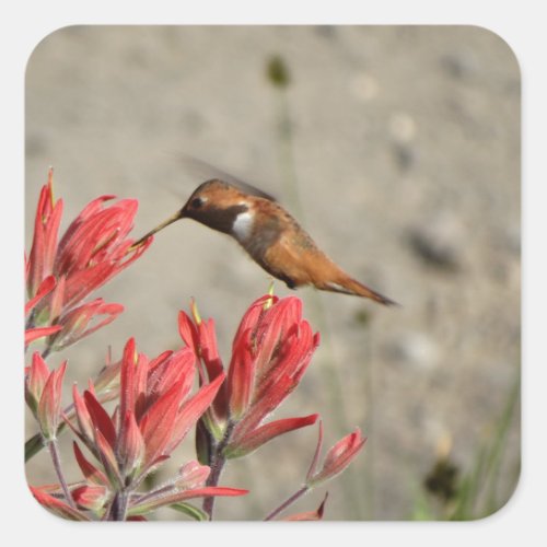 Red flower bird square sticker