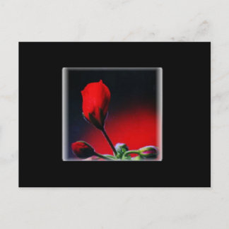 Red Flower Bud Valentine Postcard