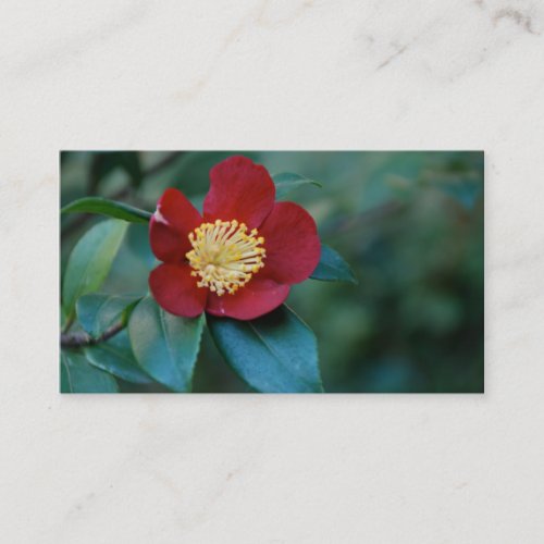 Red Flower Business Card