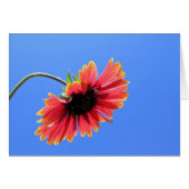 Red Flower Card (Front Horizontal)