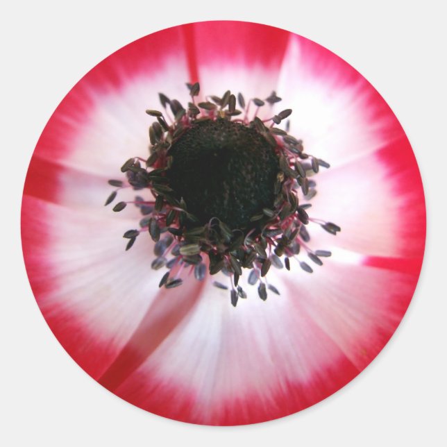 Red Flower Center Sticker (Front)