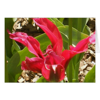 Red Flower - Customized Cards