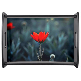 Red Flower Dark Night Solitude Art Serving Tray