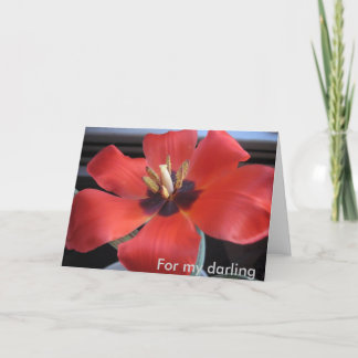 Red flower holiday card