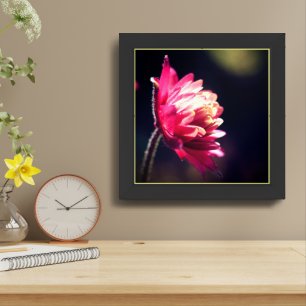 Red Flower In Sunlight Close Up Framed Art