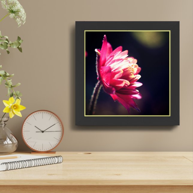 Red Flower In Sunlight Close Up Framed Art (Table Top)