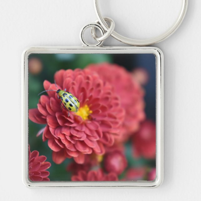 Red Flower Nature Photography Beetle Insect Bug Keychain (Front)