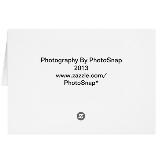 Red Flower Notecard (Back Horizontal)