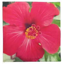 Red Flower of Hibiscus Rosa-sinensis