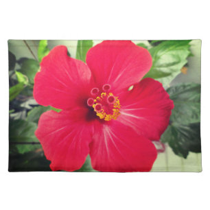 Red Flower of Hibiscus Rosa-sinensis Cloth Placemat