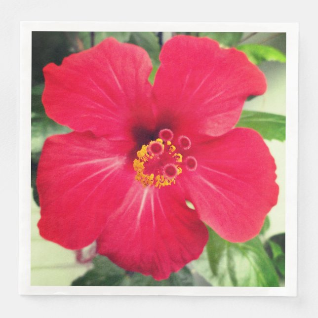 Red Flower of Hibiscus Rosa-sinensis Paper Dinner Napkins (Front)