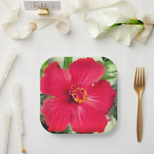 Red Flower of Hibiscus Rosa-sinensis Paper Plates