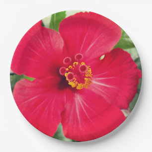 Red Flower of Hibiscus Rosa-sinensis Paper Plates