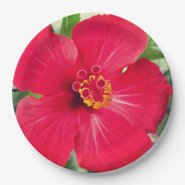 Red Flower of Hibiscus Rosa-sinensis Paper Plates (Front)