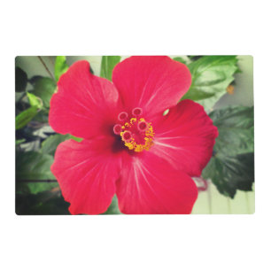 Red Flower of Hibiscus Rosa-sinensis Placemat