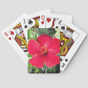 Red Flower of Hibiscus Rosa-sinensis Poker Cards