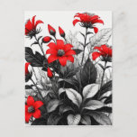 Red Flower On Black White Plant  Postcard