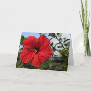 Red Flower Photo Blank Card