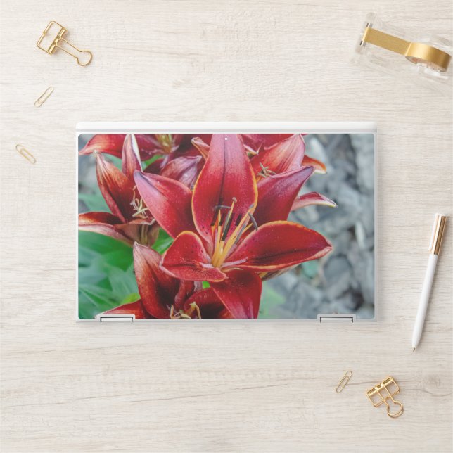 Red Flower Photography, Stargazer Lily HP Laptop Skin (Desk)