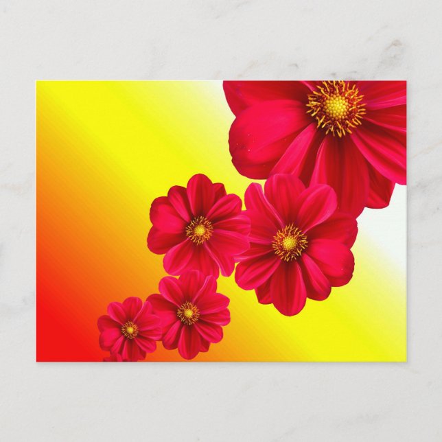 Red Flower Postcard (Front)