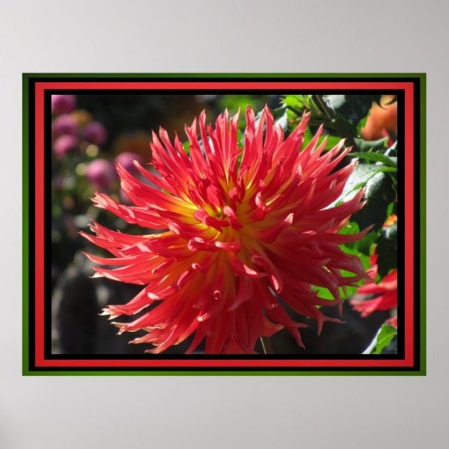 Red Flower Poster (Front)