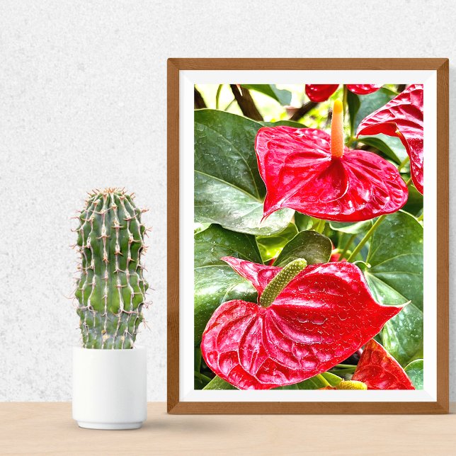 Red Flower Puerto Vallarta Poster (Creator Uploaded)
