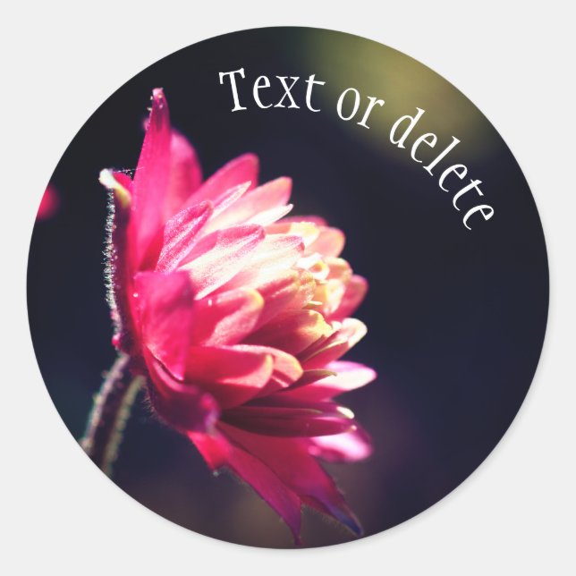 Red Flower Sunlight Personalized Classic Round Sticker (Front)