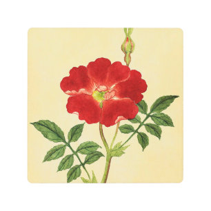 Red Flower Vintage Wall Decor Metal Art