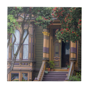 Red Flowering Gum Tree Frames Victorian Style Tile