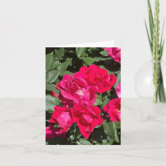 Red Flowers And Green Leaves Photograph Card