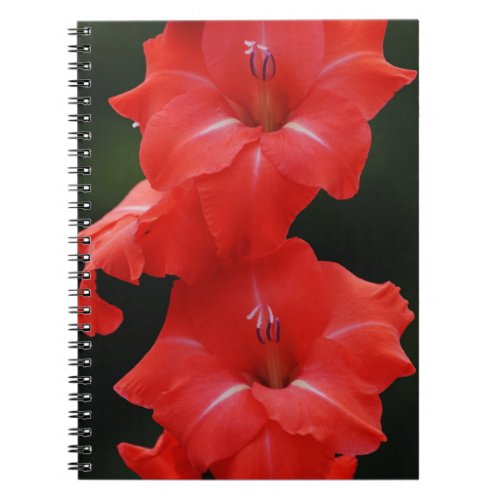 Red Flowers Journal Notebook