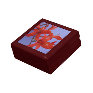 Red Flowers on Branch Gift Box