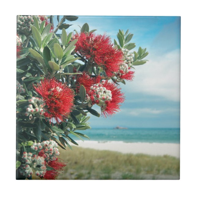 Red flowers paradise beach New Zealand summer Tile (Front)