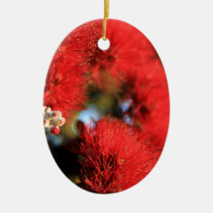 Red flowers Pohutukawa tree Ceramic Ornament
