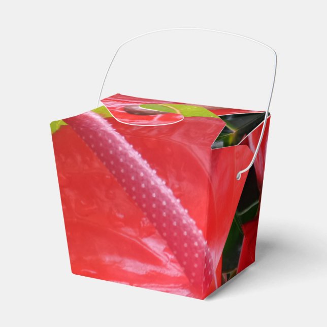 Red Flowers Take Out Favor Box (Front Side)