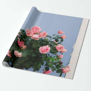 Red flowers with green leaves on blue wall wrapping paper