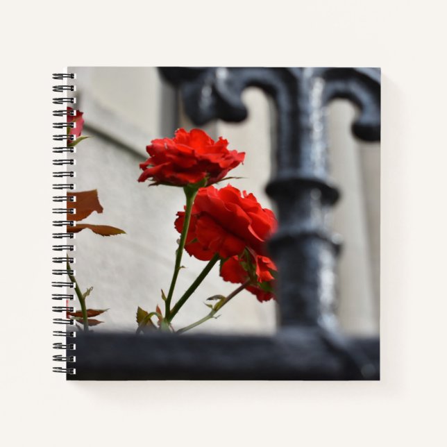 Red Flowers Wrought Iron New York City Photography Notebook (Front)