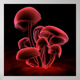 Red Fluorescence (Square) Poster