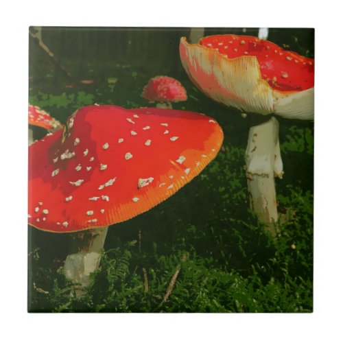 Red Fly Agaric Amanita Muscaria Mushrooms Photo Tile