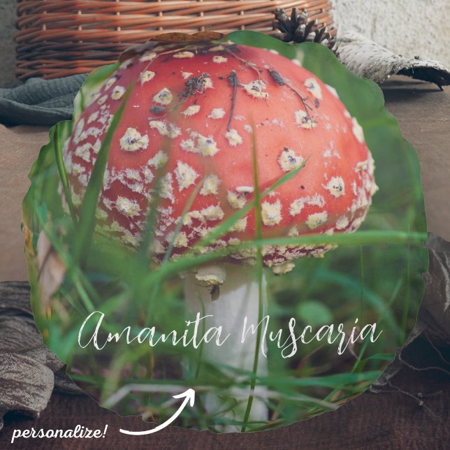 Red fly agaric mushroom round pillow (Creator Uploaded)